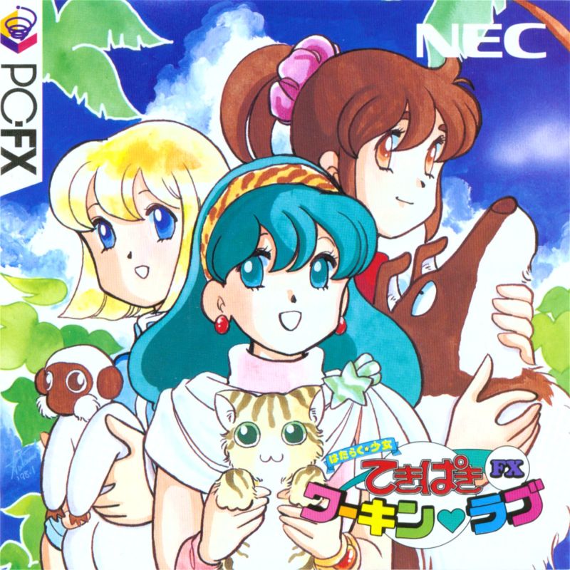 Tekipaki Working Love FX box art for PC FX